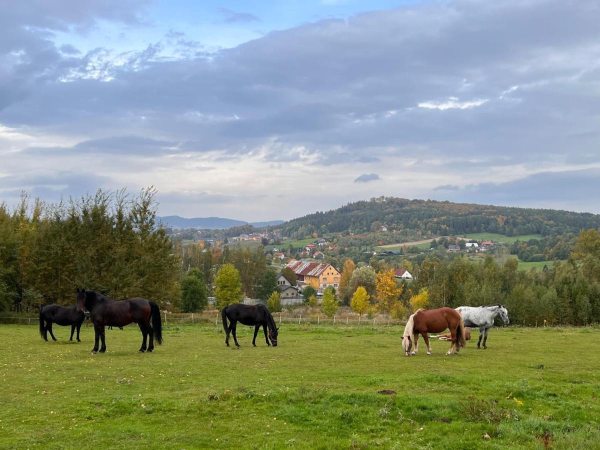 Chalet Sniezna - Karpacz